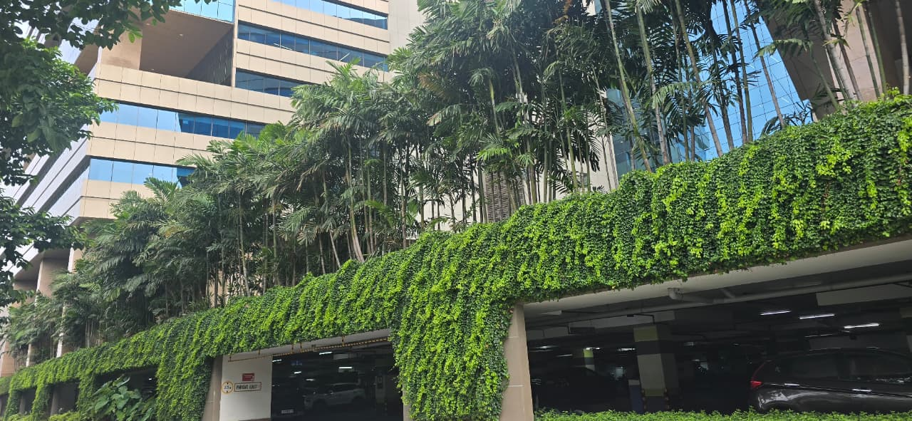 Cascading green vines and palms installed across a commercial building facade