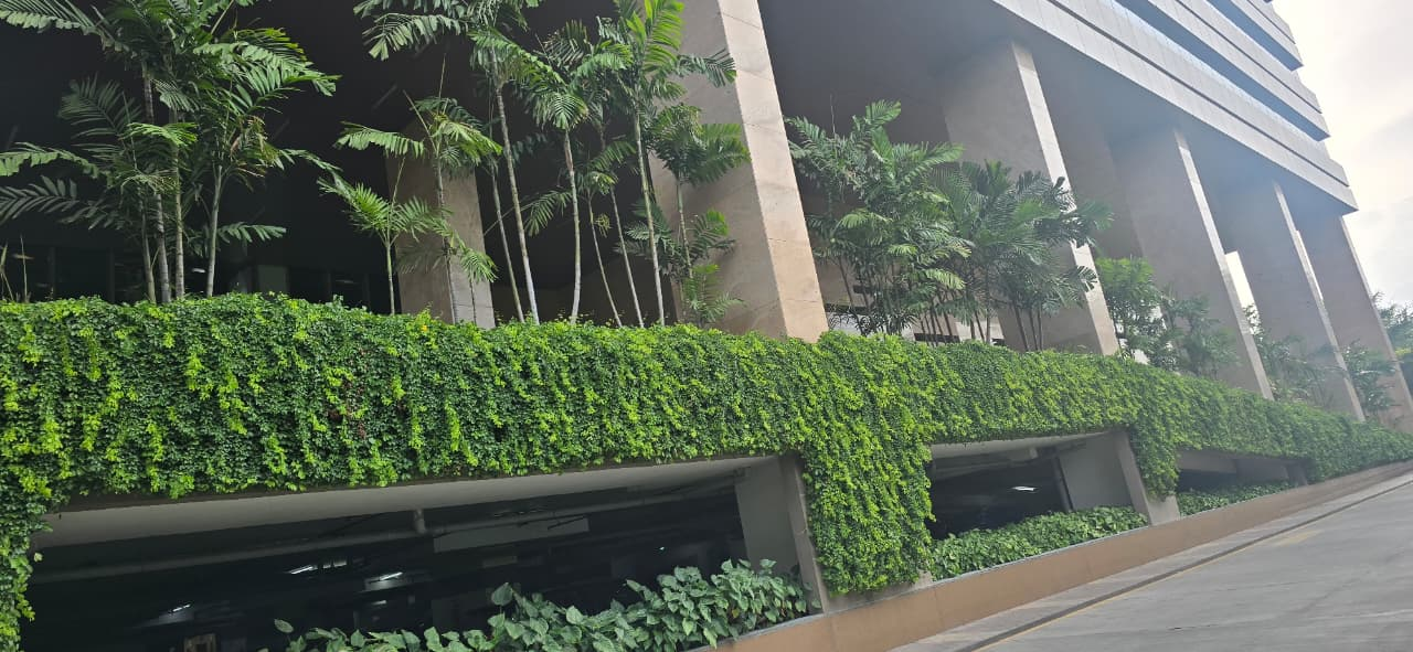 Vertical climbing ivy and palms on a modern commercial parking structure