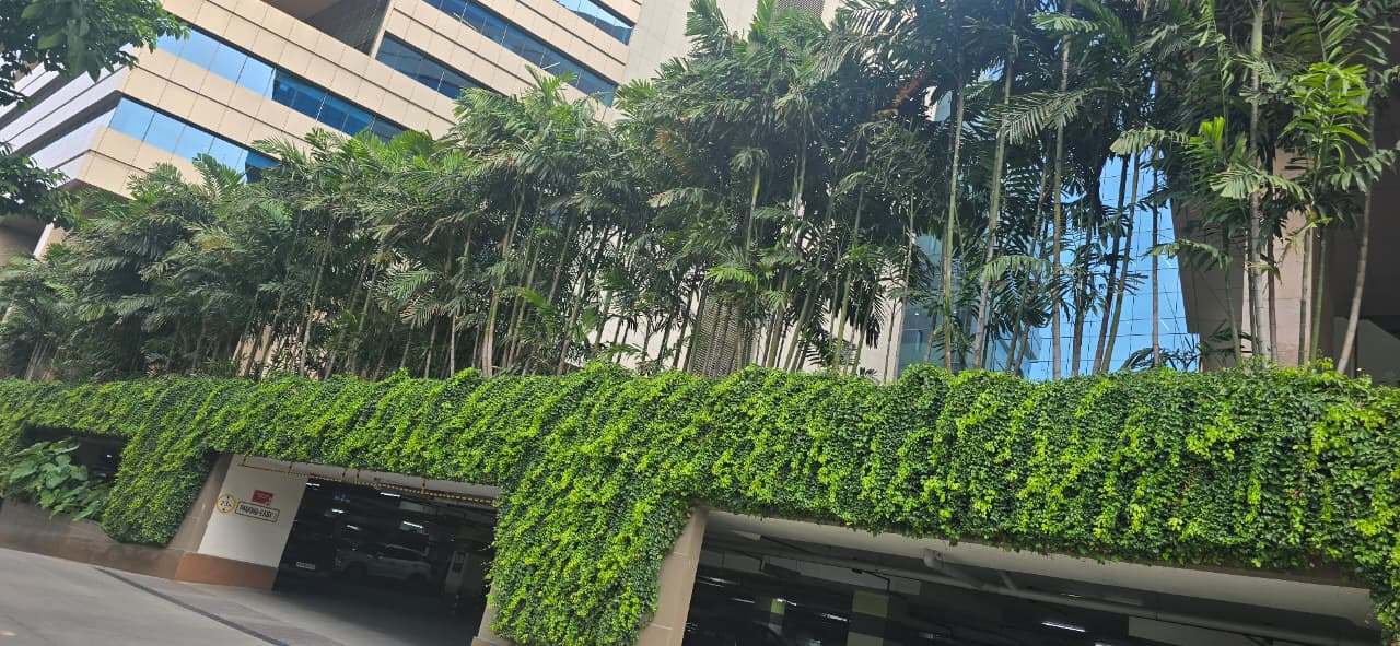 Dense cascading greenery installed along a commercial building exterior