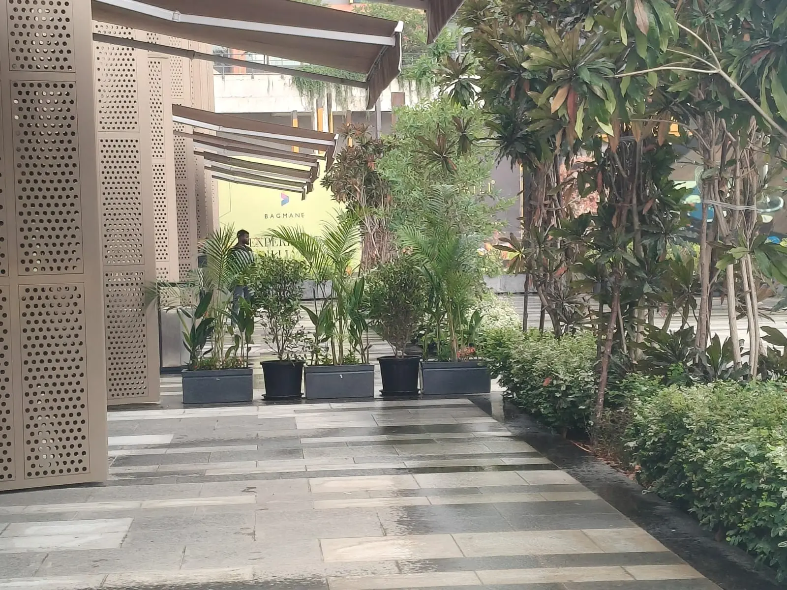 Landscaped commercial walkway with planters, trees and shrubs
