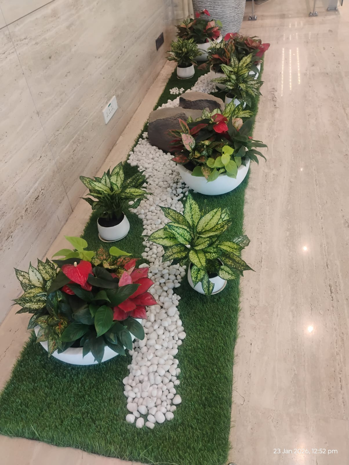 Indoor decorative plant display with white stones and colourful foliage