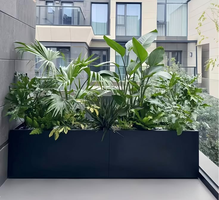 Range of FRP designer planters with plants