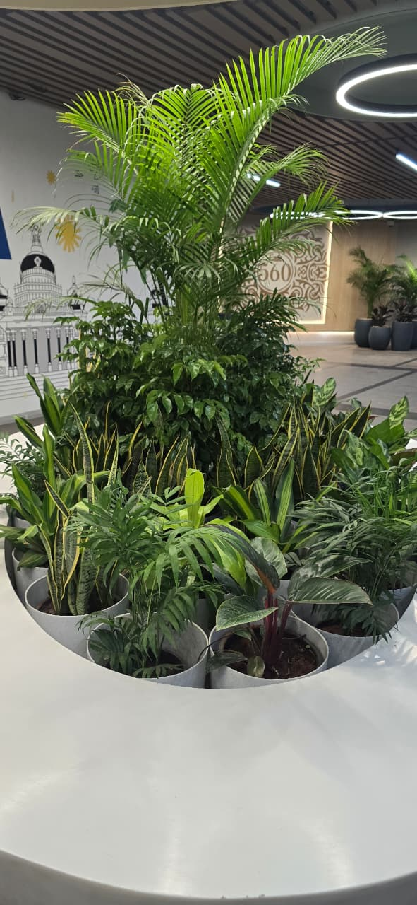 Built-in circular indoor display with an areca palm and layered tropical foliage