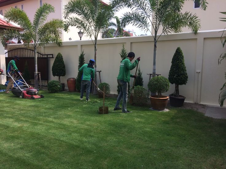 Maintained community garden with lawn and planting beds